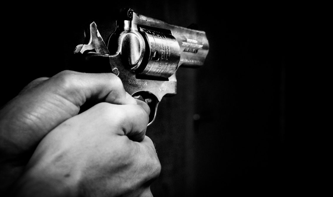 Firearm Gun Control Rights Guns